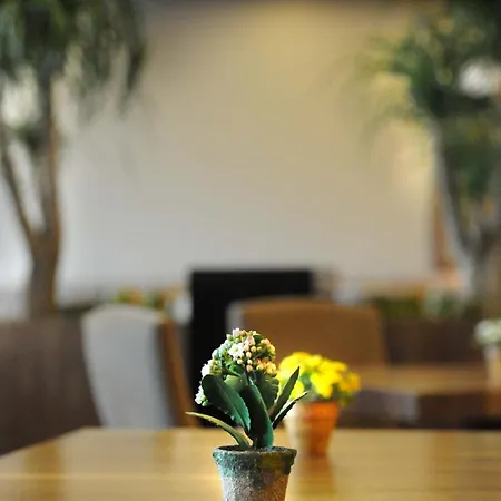 Hotel Volley Istanboel