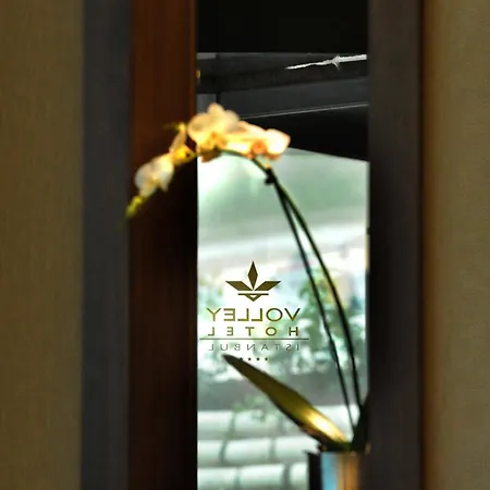 伊斯坦布尔排球酒店 伊斯坦布尔