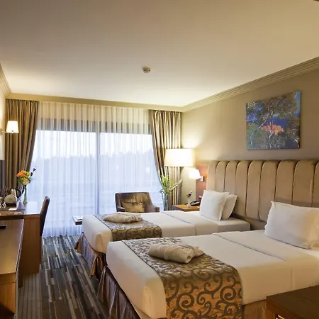 伊斯坦布尔排球酒店 4* 伊斯坦布尔