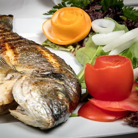 酒店 伊斯坦布尔排球酒店