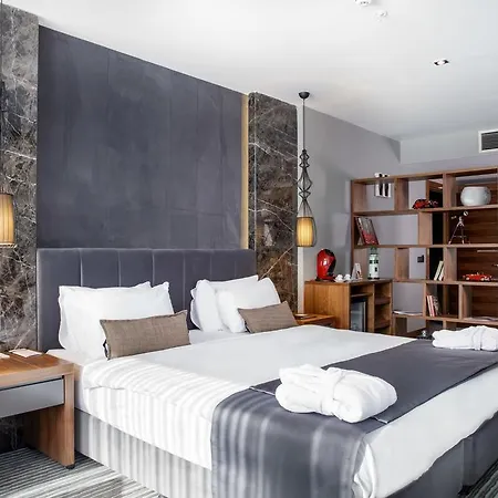 酒店 伊斯坦布尔排球酒店