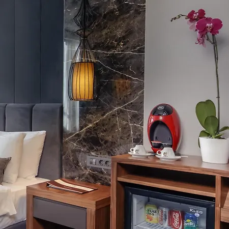 酒店 伊斯坦布尔排球酒店 4*